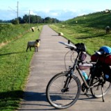 2108F 072 Kiel-Minden